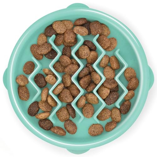 Outward Hound Small Fun Feeder Slow Bowl, Puzzle for Fast Eaters, Puppies, Cats & Small Dogs, Wet or Dry Food, Helps Prevent Bloat & Aid Digestion, 3/4 Cup Capacity, Non-Slip, Made Without BPA, Mint | Amazon (US)