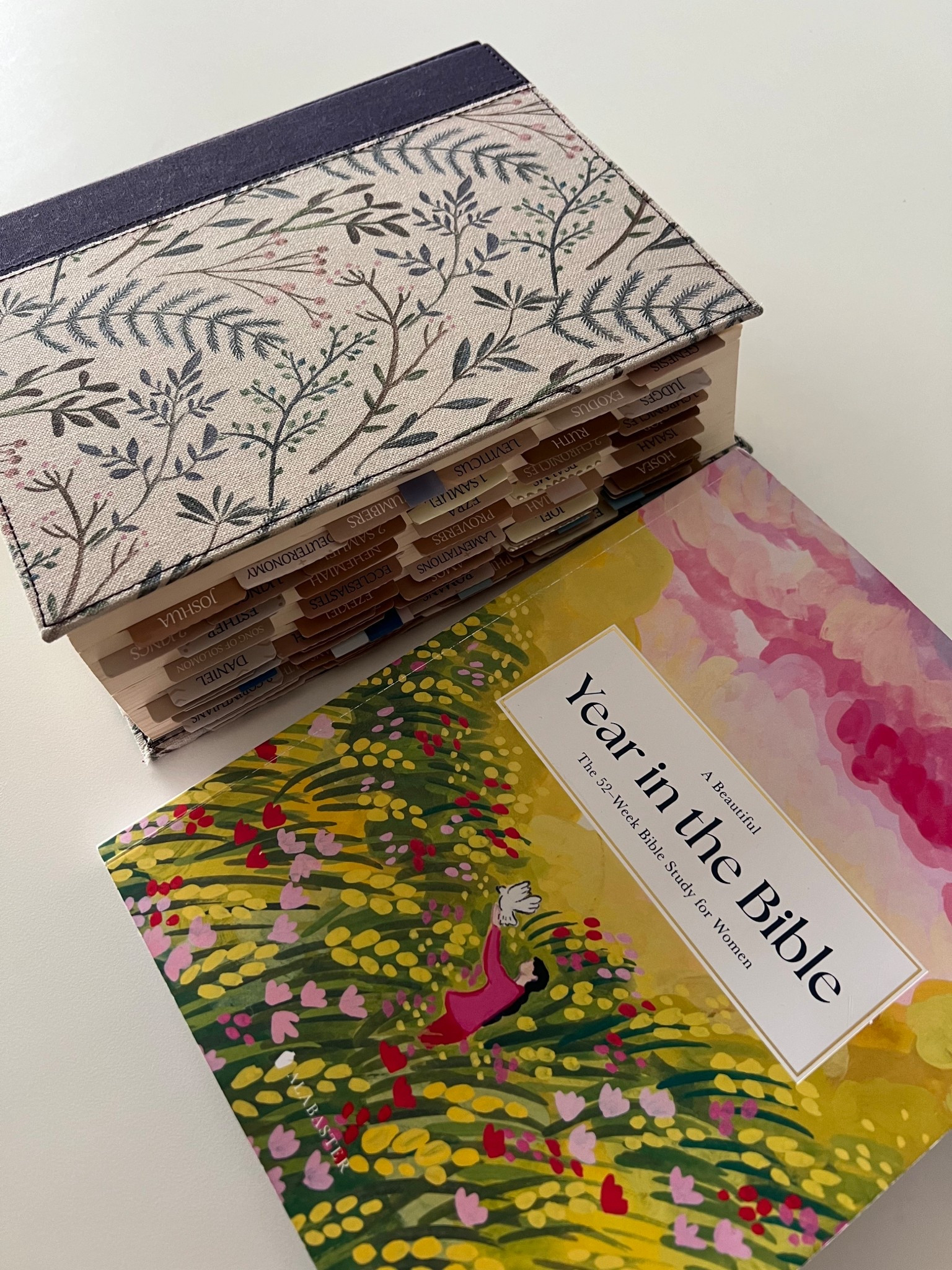 Bible, Bible tabs, and Year Long Bible Study all on Amazon 🙏🏼🫶🏼

#LTKU #LTKFamily #LTKFindsUnder50