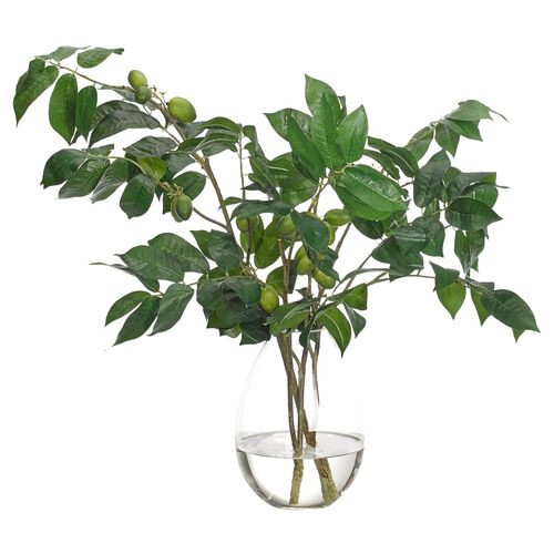 22" Olive Branch in Teardrop Vase, Faux | One Kings Lane