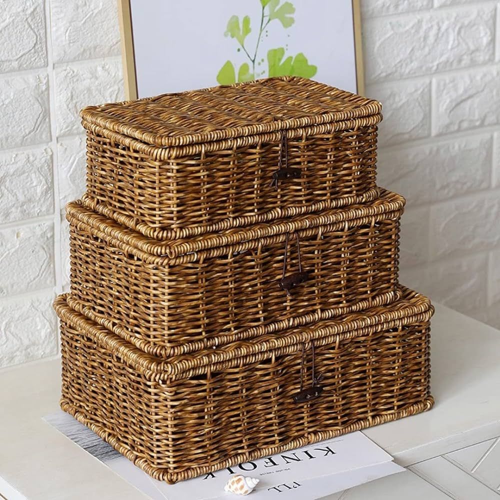 Decorative Storage Boxes with Lids Set of 3, Woven Wicker Storage Basket, Resin Handwoven Baskets... | Amazon (US)