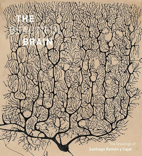 The Beautiful Brain: The Drawings of Santiago Ramon y Cajal      Hardcover – January 17, 2017 | Amazon (US)