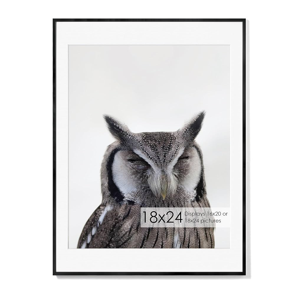 Fun Memories 18x24 Aluminum Poster Frame, 18 x 24 inch Metal Picture Frames with Real Glass Front... | Amazon (US)