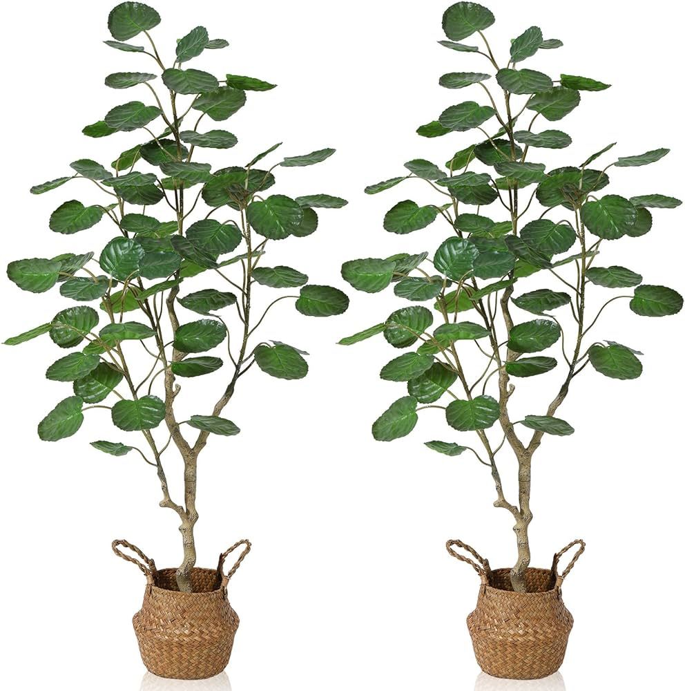 Kazeila 2 Pack Artificial Aralia Balfour Tree,Fake Greenery Plant,Come with Woven Seagrass Belly ... | Amazon (CA)