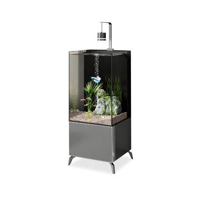37-44 Gallon Glass + Manufactured Wood Modern Eco Aquarium Tank | Wayfair North America