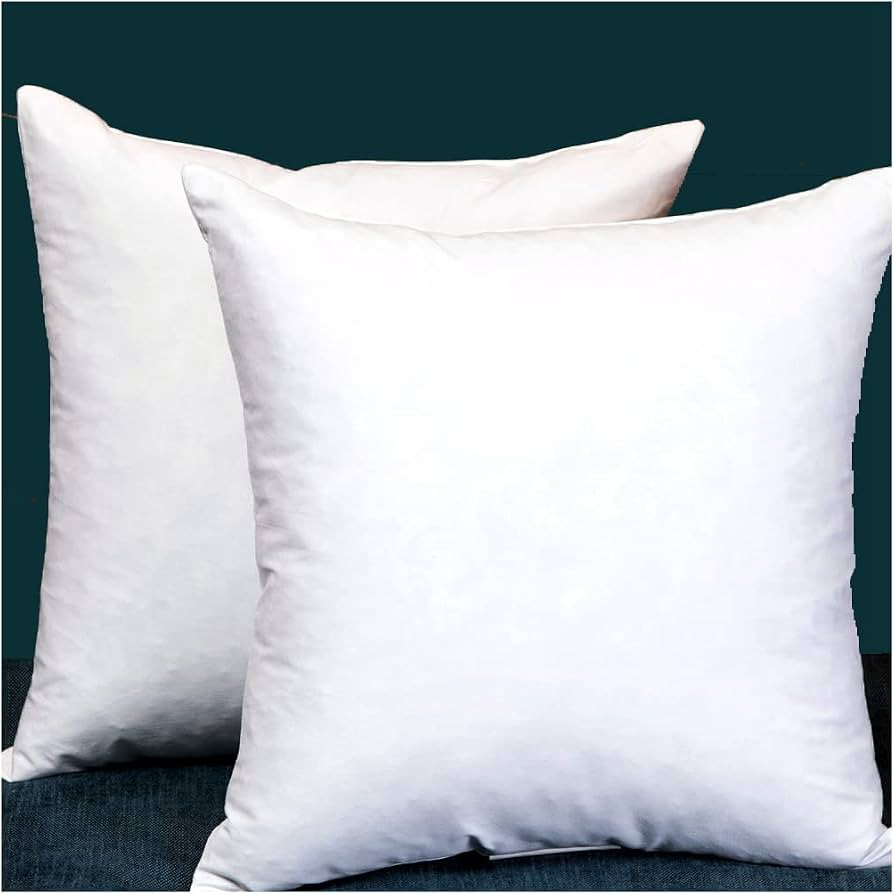 Set of 2, Square Decorative Throw Pillows Inserts Down and Feather Pillow Insert, Cotton Fabric, ... | Amazon (US)
