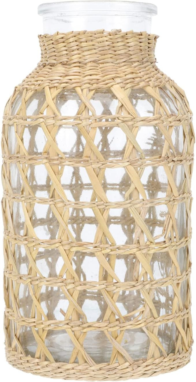 Cabilock Glass Flower Vase with Rattan Cover Farmhouse Vase Vintage Floral Container Decorative F... | Amazon (US)