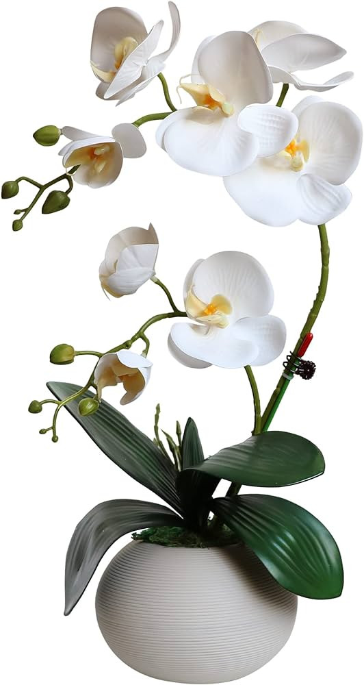 Tall 17" White Real Touch Orchid Artificial Flowers with Vase Faux Plant Silk Floral for Home Dec... | Amazon (US)