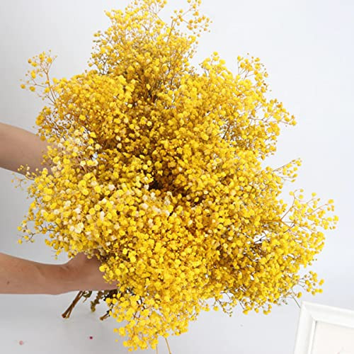 beerfingo Dried-Flowers-Babys-Breath-Bouquet 17.2 inches 2500+ Flowers, Natural Gypsophila, Dry Flowers Bulk for Vase Home Decor, Wedding, Table Decor, DIY Wreath Floral(Yellow) | Amazon (US)