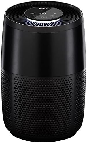 Instant Air Purifier, Helps to remove 99.9% of Viruses, Bacteria and Allergens, Advanced 3-in-1 H... | Amazon (US)