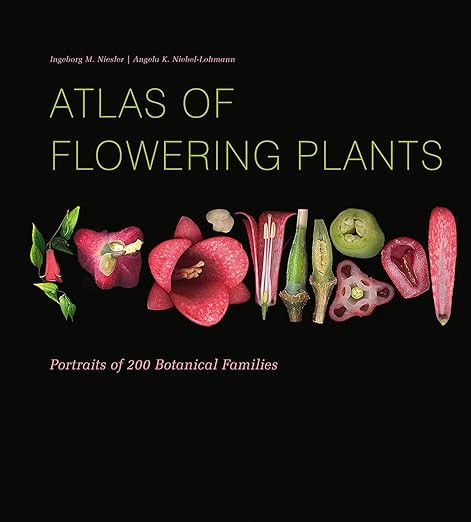 Atlas of Flowering Plants: Visual Studies of 200 Deconstructed Botanical Families     Hardcover ... | Amazon (US)