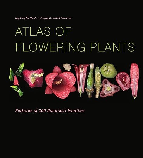 Atlas of Flowering Plants: Visual Studies of 200 Deconstructed Botanical Families     Hardcover ... | Amazon (US)