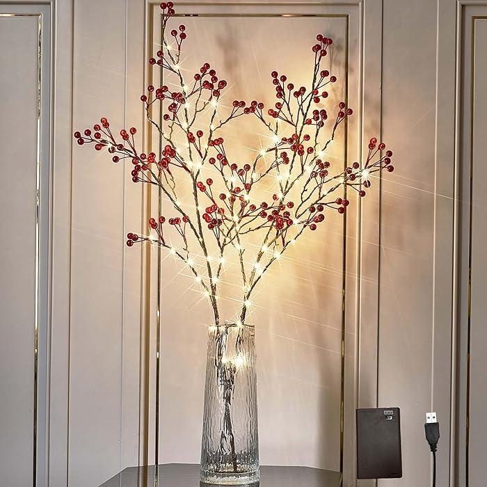 Hairui Red Berry Branches with Lights 32IN Battery Operated and USB Plug in, Lighted Willow Branc... | Amazon (US)