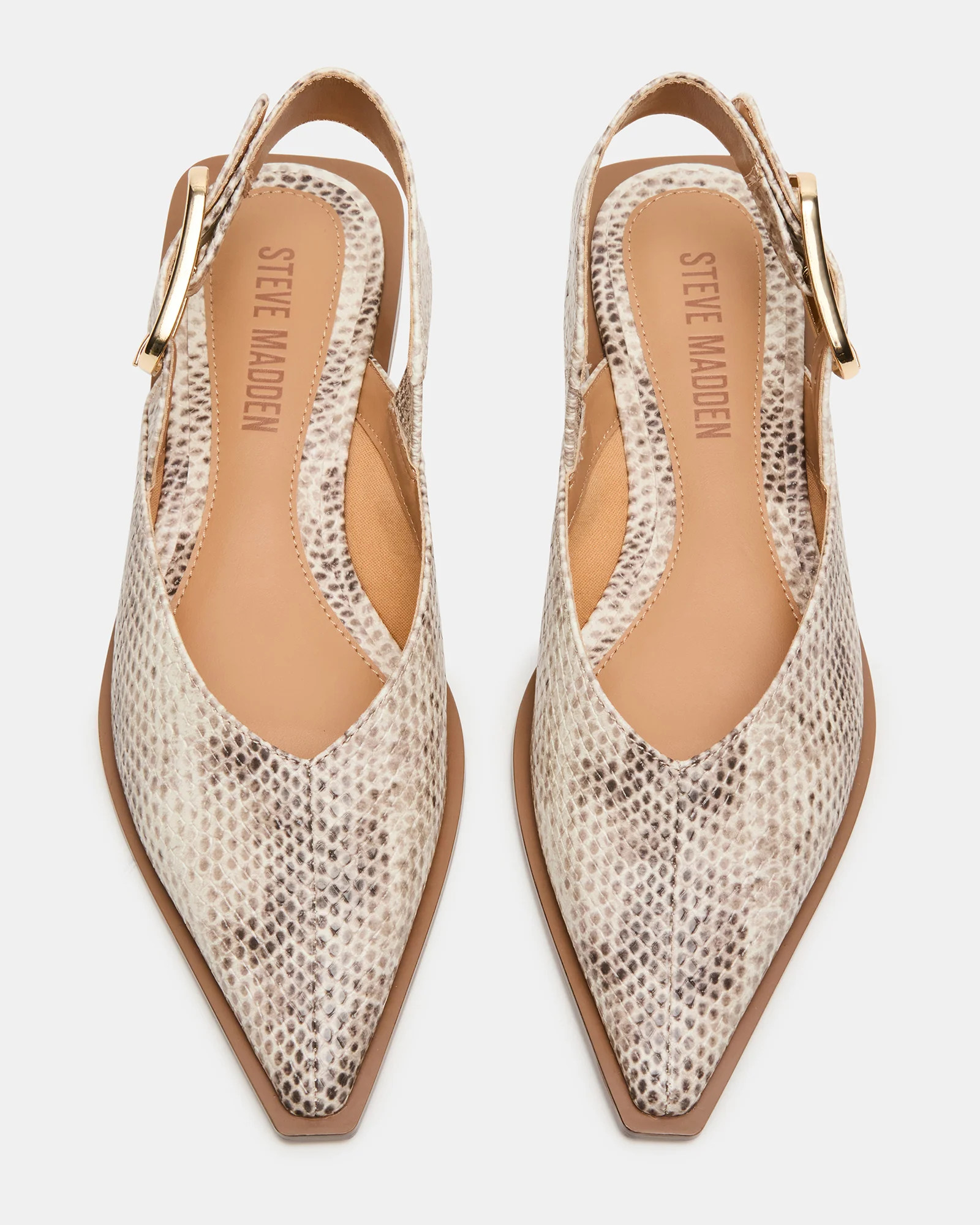 SHAY Snake Pointed-Toe Slingback Ballet Women's Flat | Steve Madden (US)