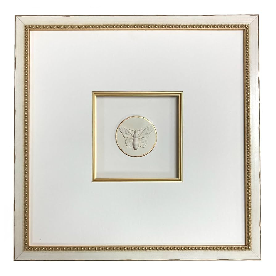 12" x 12" Framed Insect Intaglios (Monarch Butterfly) | Amazon (US)