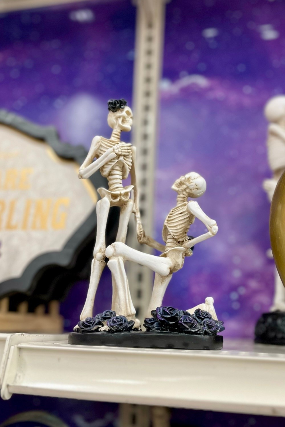 Halloween is coming and Michael’s has amazing decor for spooky loving newlyweds or a Halloween themed wedding. 

Watch out for sales after Halloween for the best prices! 

#LTKWedding #LTKSeasonal #LTKHalloween