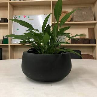 Small 11.8 in. x 11.8 in. x 5.9 in. Granite Color Lightweight Concrete Modern Low Bowl Planter | The Home Depot