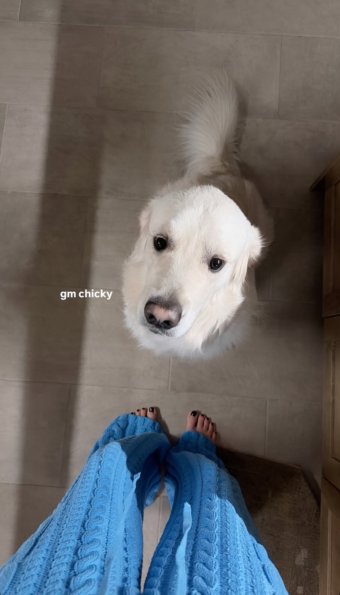 Cozy cable knit pants! Also comes in white. 🩵🤍

#LTKdayinmylife #LTKgrwm #LTKootd