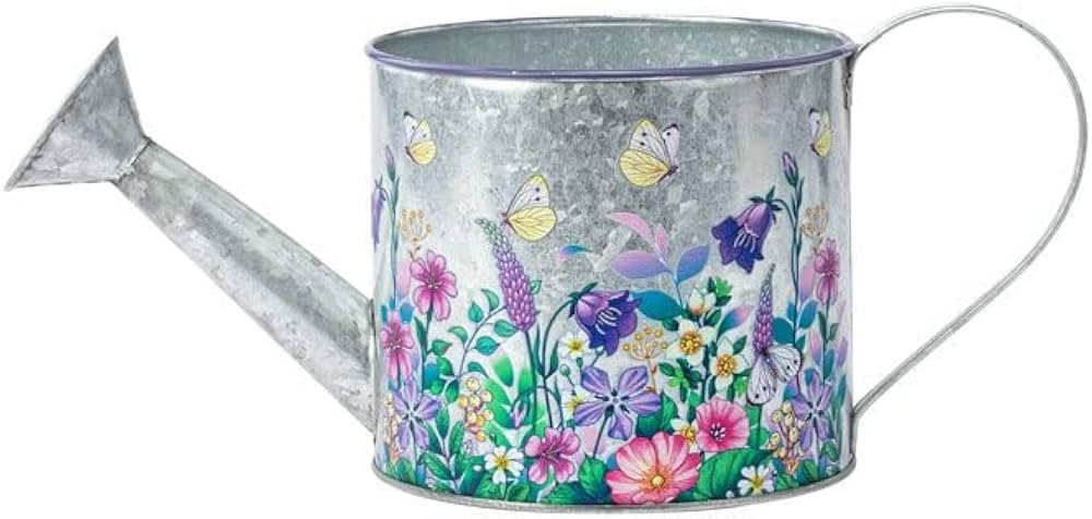 Napco Imports Indoor Outdoor Plant Succulent Herb Flower Pot 5 Inch Metal Butterfly Garden Wateri... | Amazon (US)