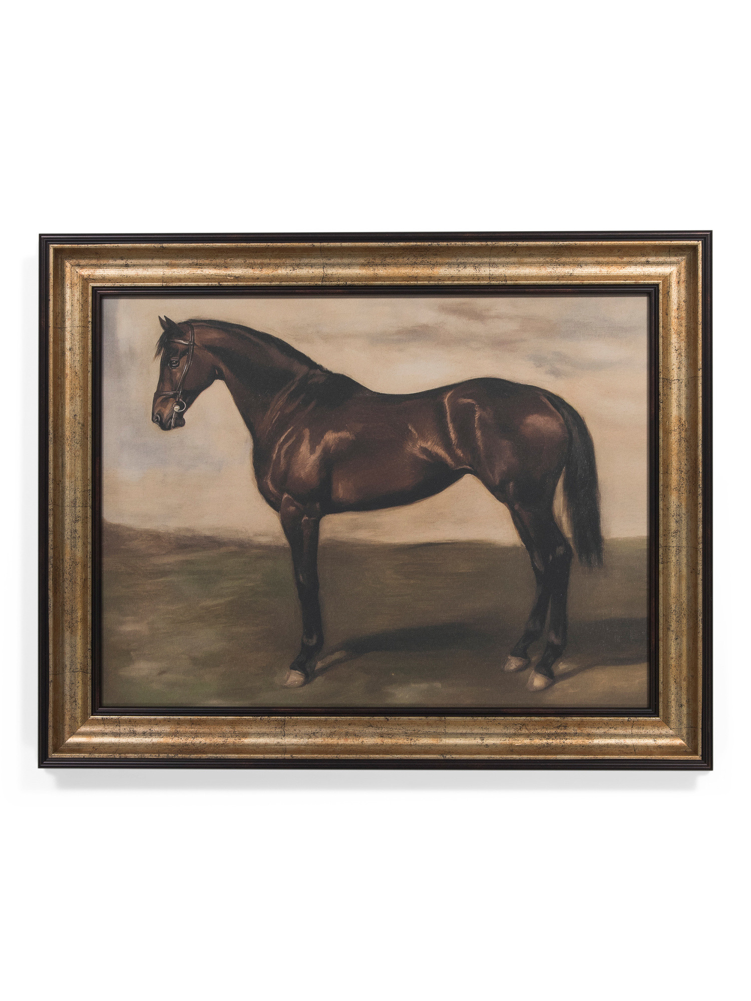 16x20 Horse On Green Ground Wall Art | TJ Maxx