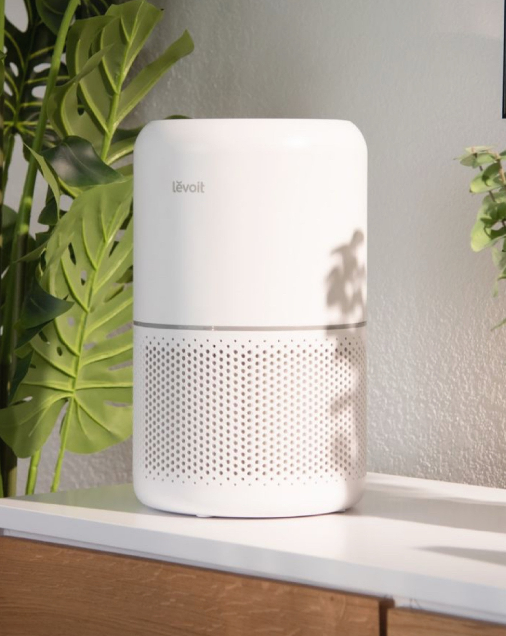 I love knowing the air I breathe is so pure ✨

On my granola journey, this has been the easiest thing to implement. You literally plug it in and reap the benefits immediately. I have the bigger one in larger rooms and this smaller in the smaller spaces. I also love that I can control it from an app on my phone! 

Stuffy no longer! 

#LTKHome #LTKGiftGuide #LTKFindsUnder100