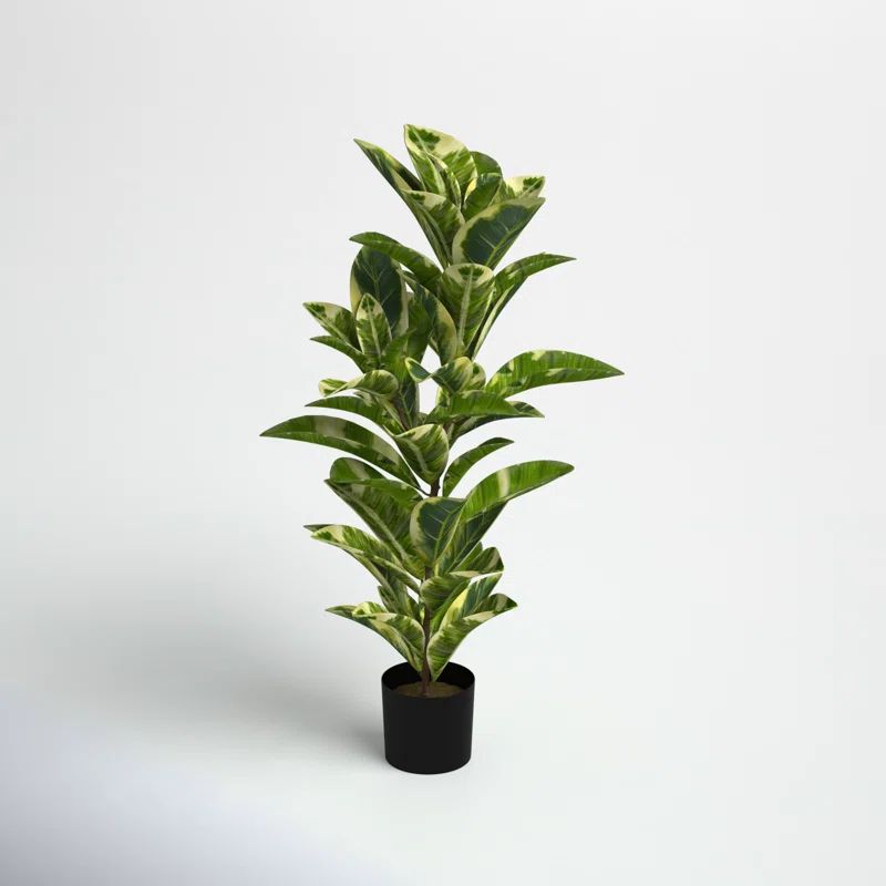38'' Faux Dieffenbachia Plant in Pot | Wayfair North America