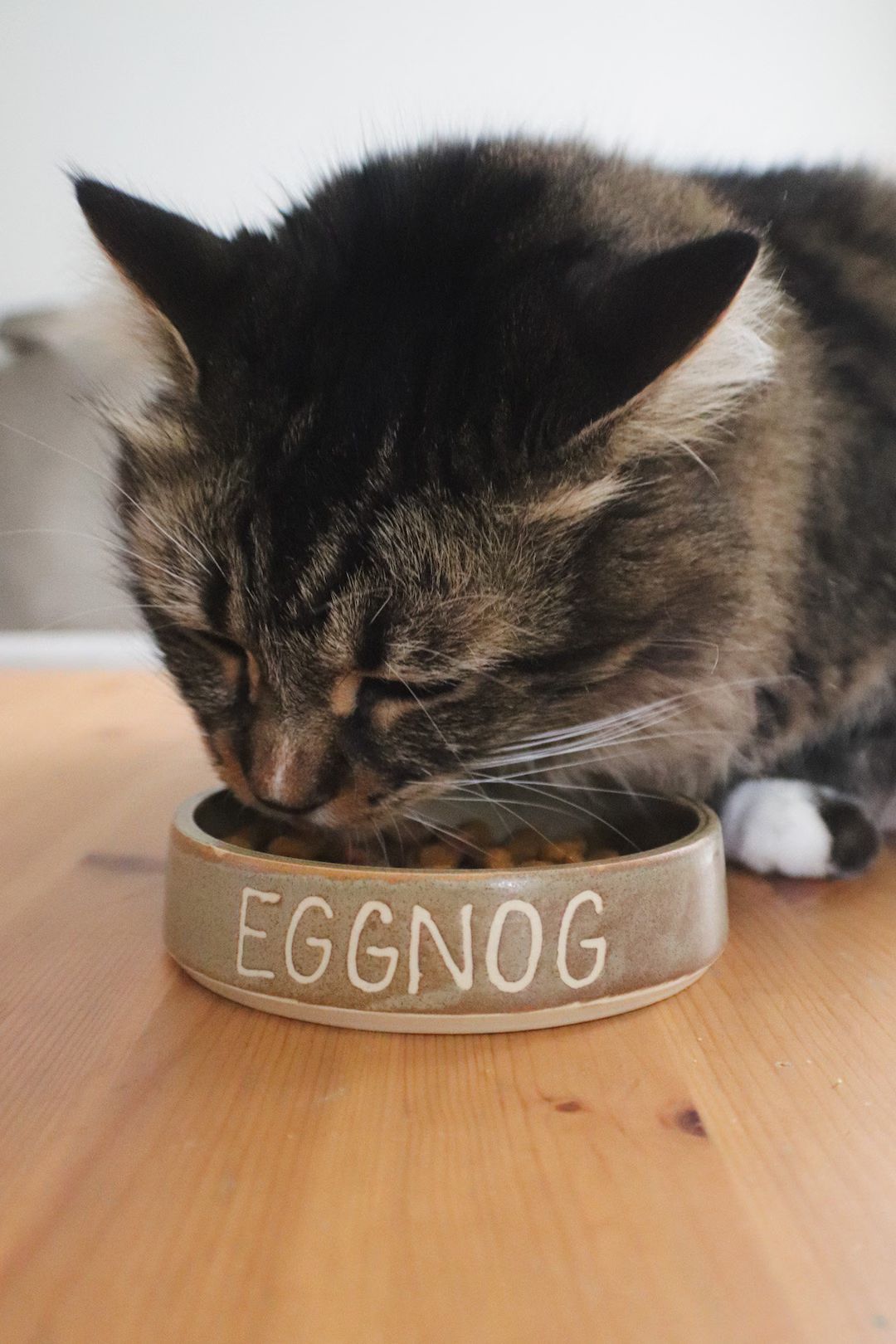 Custom Ceramic Cat Bowl Personalized Handmade Pet Bowl Pet Food Bowl - Etsy | Etsy (US)
