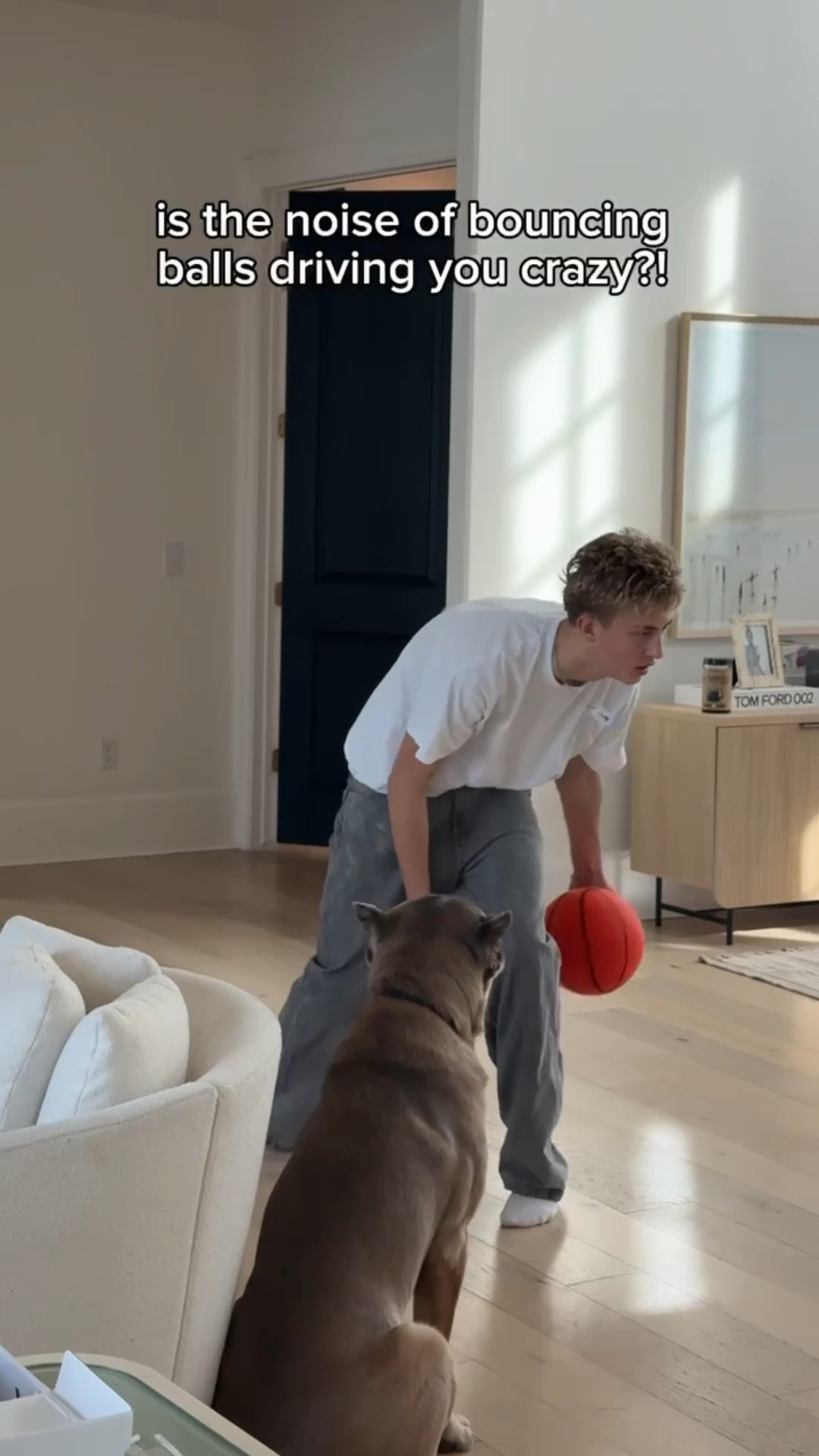 These silent basketballs are a game changer - my family loves these! Would make a great gift 🏀

@amazon @amazonhome
Silent basketball, teen boy gift, tween boy gift, kids gift 

#LTKMens #LTKdayinmylife #LTKKids