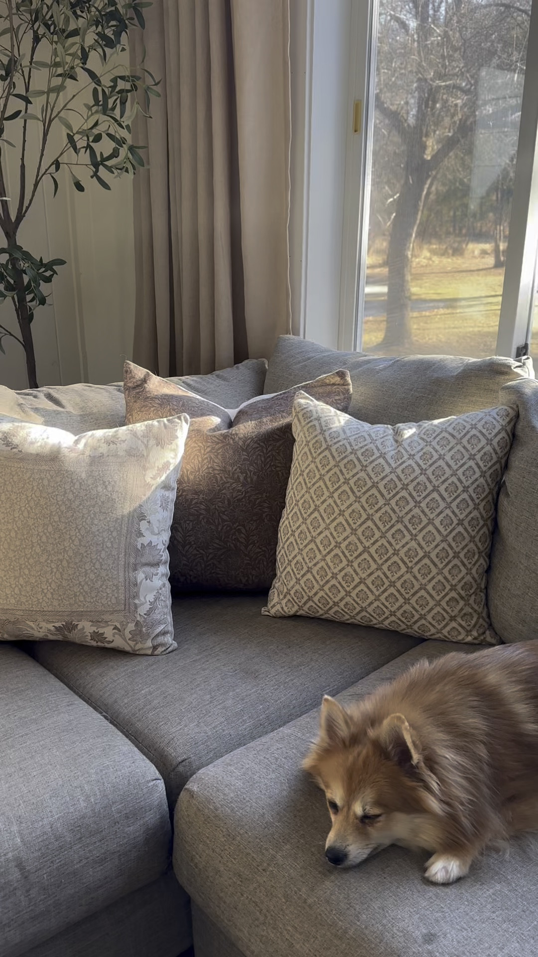 Living room decor | cozy living room | living room refresh 

#LTKHome #LTKFindsUnder100 #LTKSeasonal