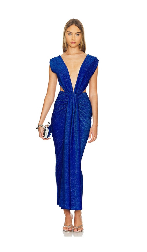 Baobab Nia Dress in Royal. - size S | Revolve Clothing (Global)