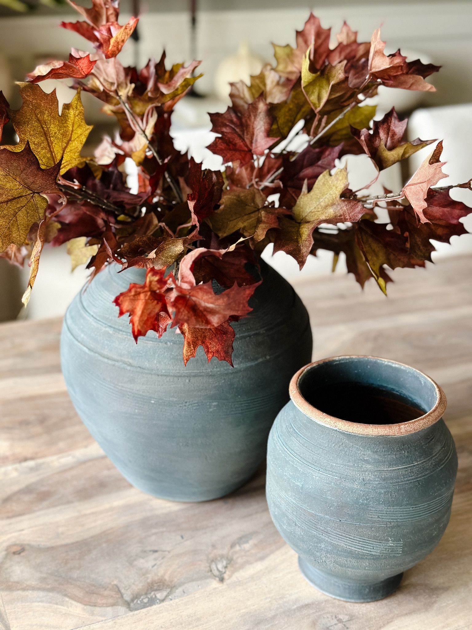 Maple Branch | rustic indigo vase | fall home decor

Note: this is one branch and I cut all the stems off the branch for this look.  It saves money per stem doing it this way.  

#LTKSeasonal #LTKHome #LTKSaleAlert
