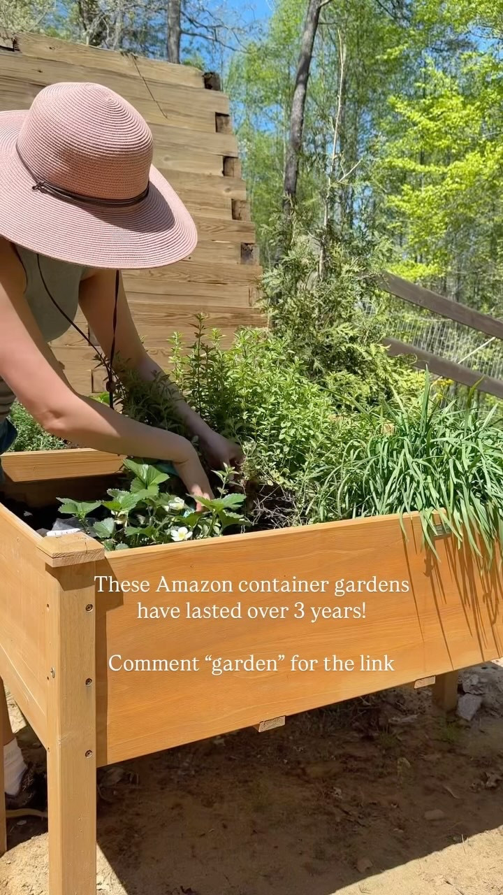 Theres no better way to get your dopamine than with good ol dirt!! Gardening is addicting 😭

Even though I don’t really have the terrain for a vegetable garden, I searched high and low for the most affordable container gardens. 

I stained it with a food safe wood stain to help seal the wood. 

#LTKHome
