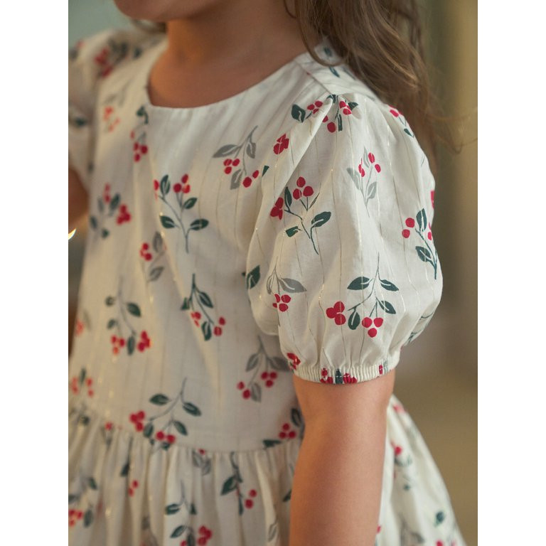 Carter's Child of Mine Toddler Girl Holiday Dress, One-Piece, Sizes 2T-5T - Walmart.com | Walmart (US)