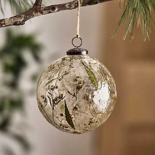 Pressed Botanicals Glass Globe Ornament | Terrain
