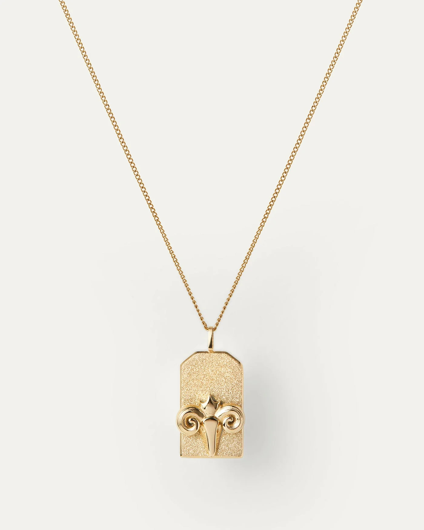 The Aries Zodiac Pendant Necklace | Jenny Bird (US)