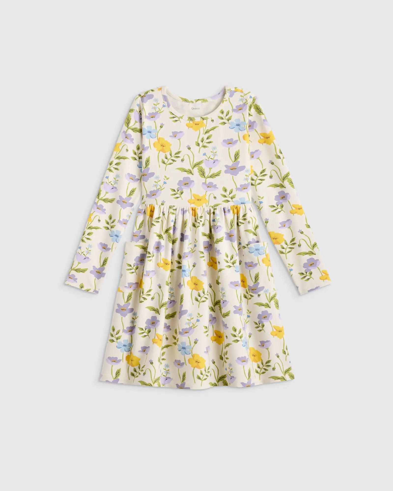 Organic Cotton Long Sleeve Fit and Flare Pocket Dress | Quince