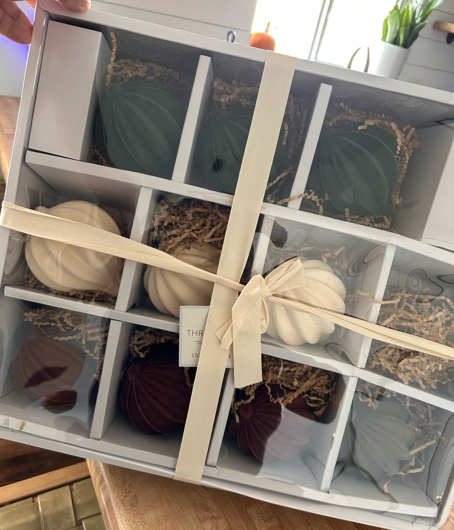 Velvet Christmas Tree Ornaments ✨

Studio Mcgee

#LTKSeasonal #LTKFindsUnder50 #LTKHoliday