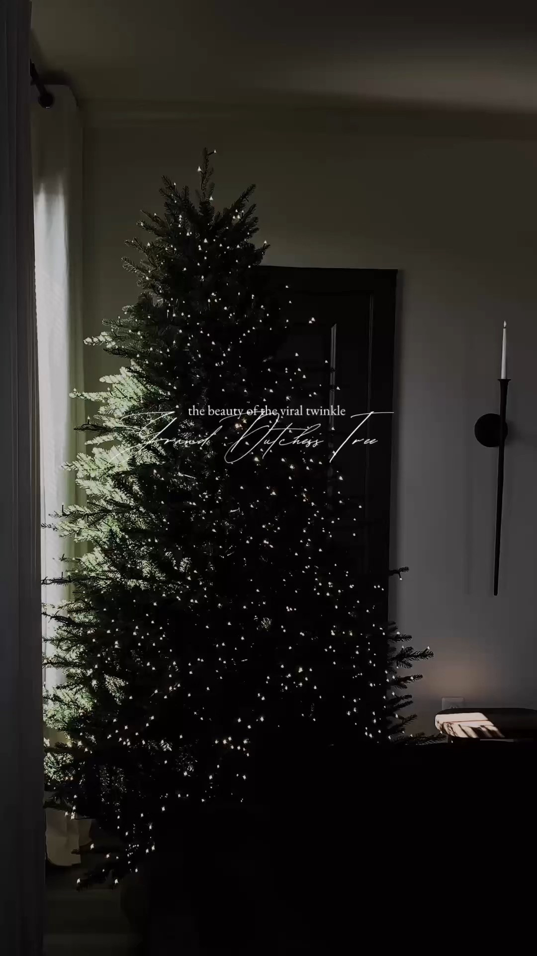 The Viral Grand Duchess Christmas Tree — Dark, Cozy, Luxe Holiday Look

The Christmas tree that’s taking over the internet — and for good reason ✨

This is the exact Grand Duchess Tree with the soft, magical twinkle lights everyone is obsessed with. No ornaments, no filters, no editing — it’s this stunning all on its own.

If you love a moody luxe holiday aesthetic, neutral décor, or that dark-and-cozy Christmas glow, this tree is the moment.


Perfect for minimalist décor, organic modern homes, and anyone who wants a high-end look without spending hours decorating.

🖤 Height shown: 7.5ft 
✨ Pre-lit with warm white micro lights
🎄 Ultra-realistic branches + elegant slim shape
🏆 #1 most saved tree on Pinterest + TikTok right now

Tap to shop the exact tree and bring that soft twinkle magic into your home.

#GrandDuchessTree #ViralChristmasTree #MoodyHolidayDecor 
#NeutralChristmas #DarkAndCozyHome #OrganicModernStyle 
#HolidayHomeFinds #LTKHoliday #LTKHome #ChristmasAesthetic

#LTKSeasonal #LTKHome #LTKHoliday