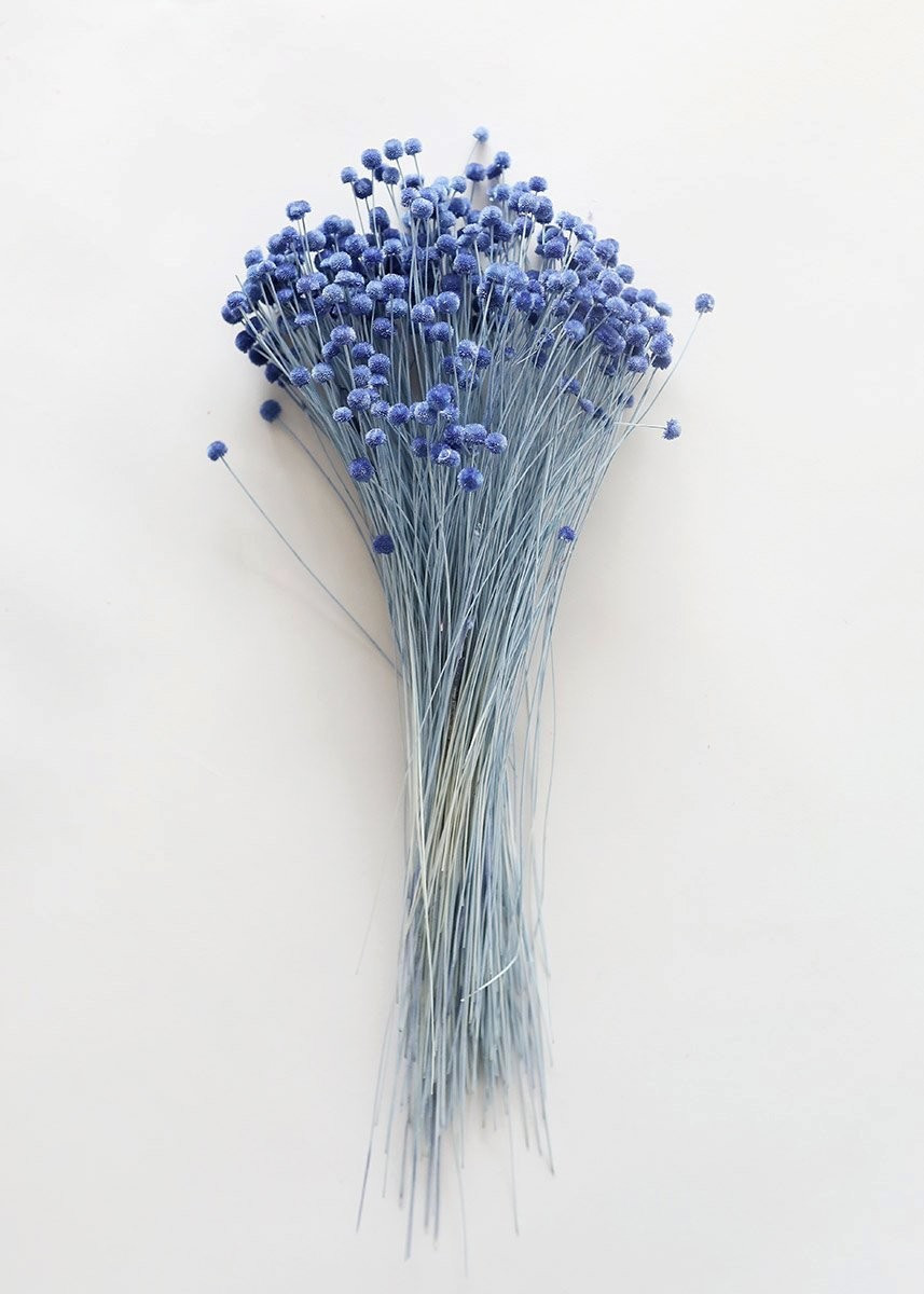 Petite Blue Dried Floral Buttons - 9-14" Tall | Afloral (US)