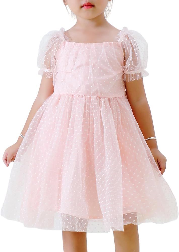 Toddler Girl Flower Gril Princess Dresses Dot Tulle Puff Sleeve Birthday Party Tutu Dress | Amazon (US)
