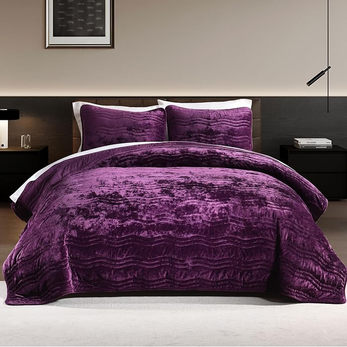 Velvet Quilt, Purple Bedding Comforter Sets, Luxury Plush Queen Comforter Set,Soft Plush Queen Be... | Amazon (US)