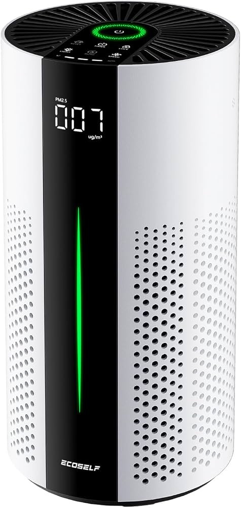 ECOSELF Air Purifiers for Home Large Room up to 1800 Ft\u00b2, Air Purifiers for Bedroom 360\u00b... | Amazon (US)