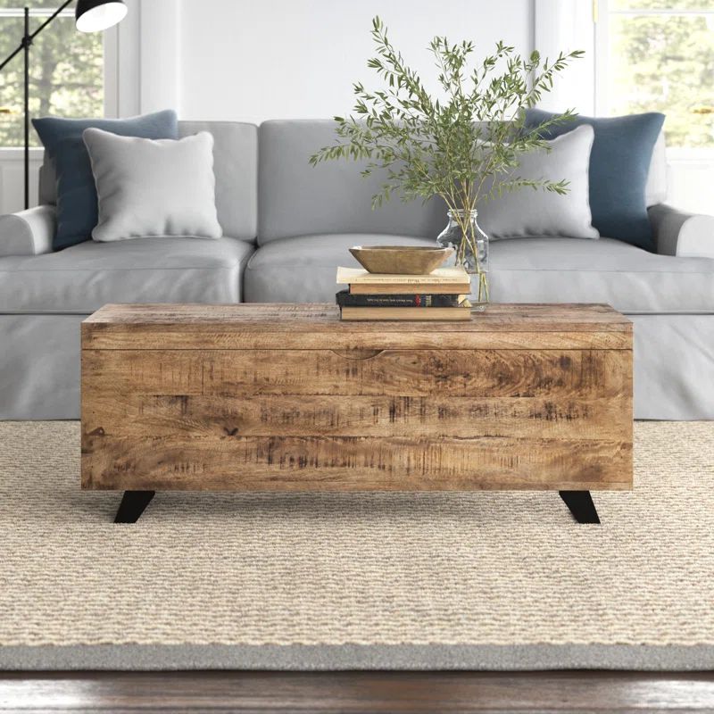 Dinora Lift Top Sled Coffee Table with Storage | Wayfair North America