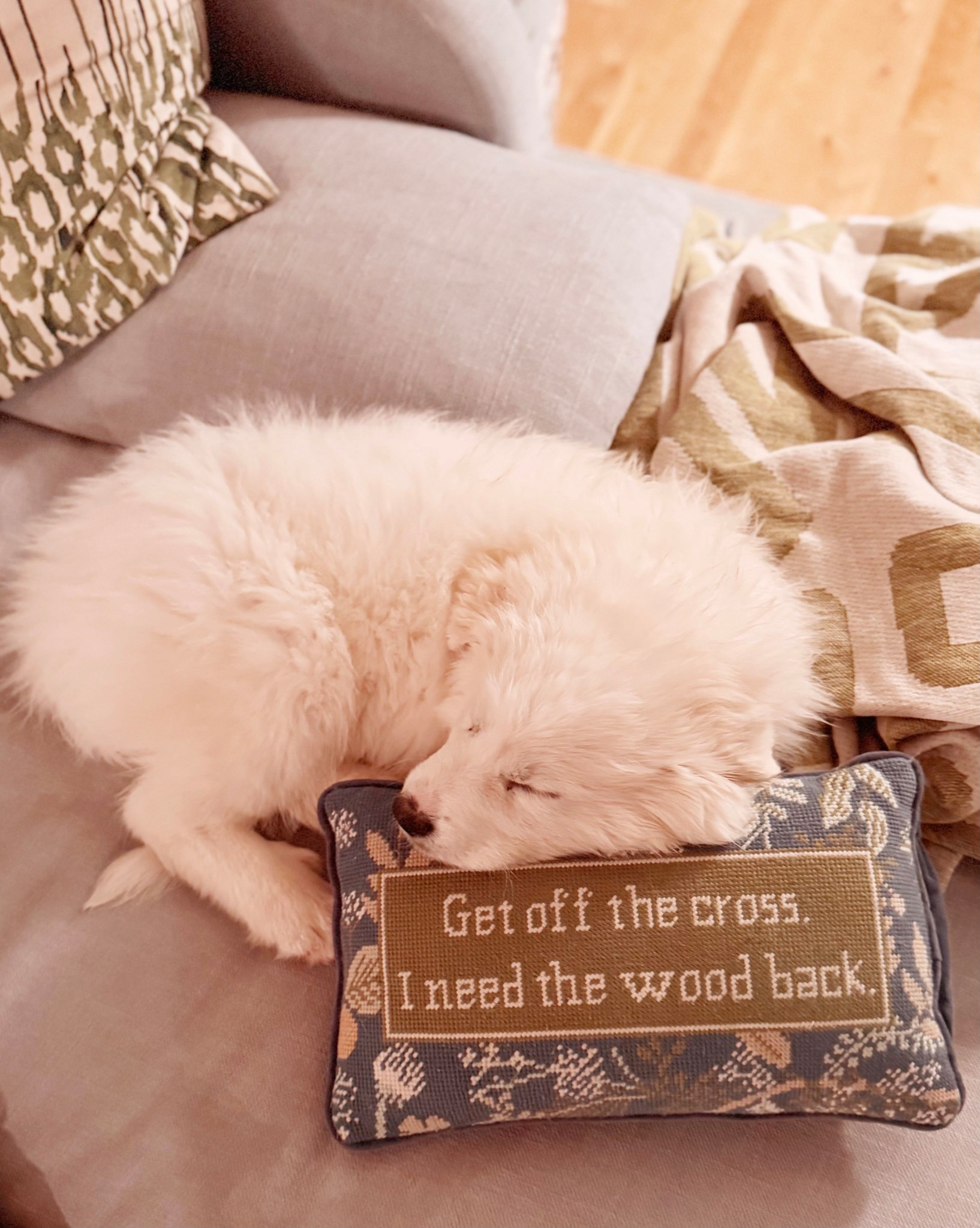 Nellie insists she is not playing the victim. But her pillow is on sale  

#LTKSaleAlert #LTKmomlife #LTKHome