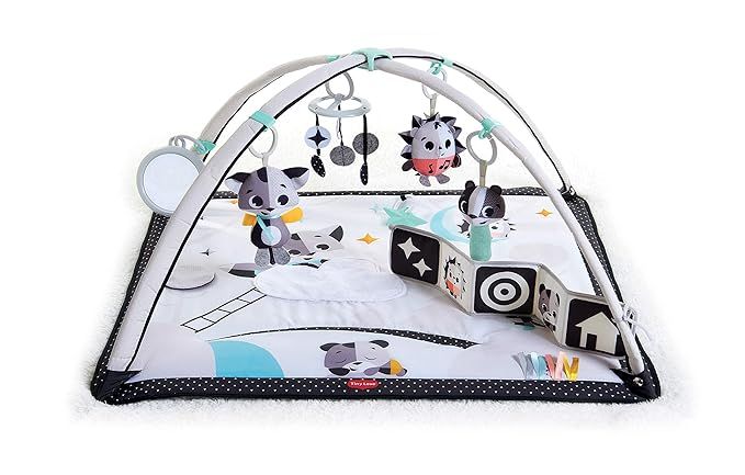 Tiny Love Black & White Gymini Infant Activity Play Mat With-Book, Magical Tales, Deluxe, 1 | Amazon (US)