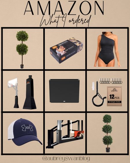 What I ordered from Amazon this past month. ✨ 

Amazon finds, basketball backboard, Daci one piece swimsuit, Under Armor hat, topiary faux plants, black plastic planter 