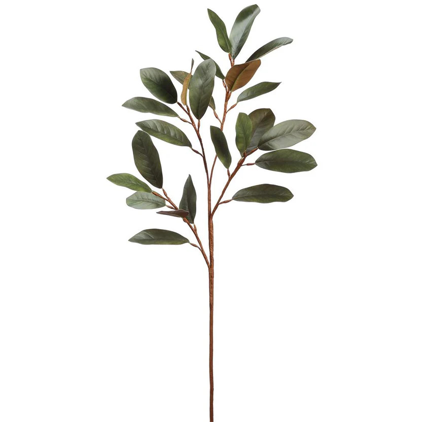 Magnolia Leaf Spray | Gatehouse No.1