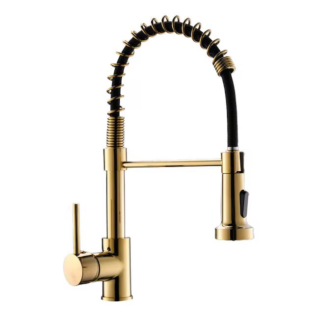 WELLFOR Shiny Gold Single Handle Pre-rinse Kitchen Faucet with Sprayer | Lowe's