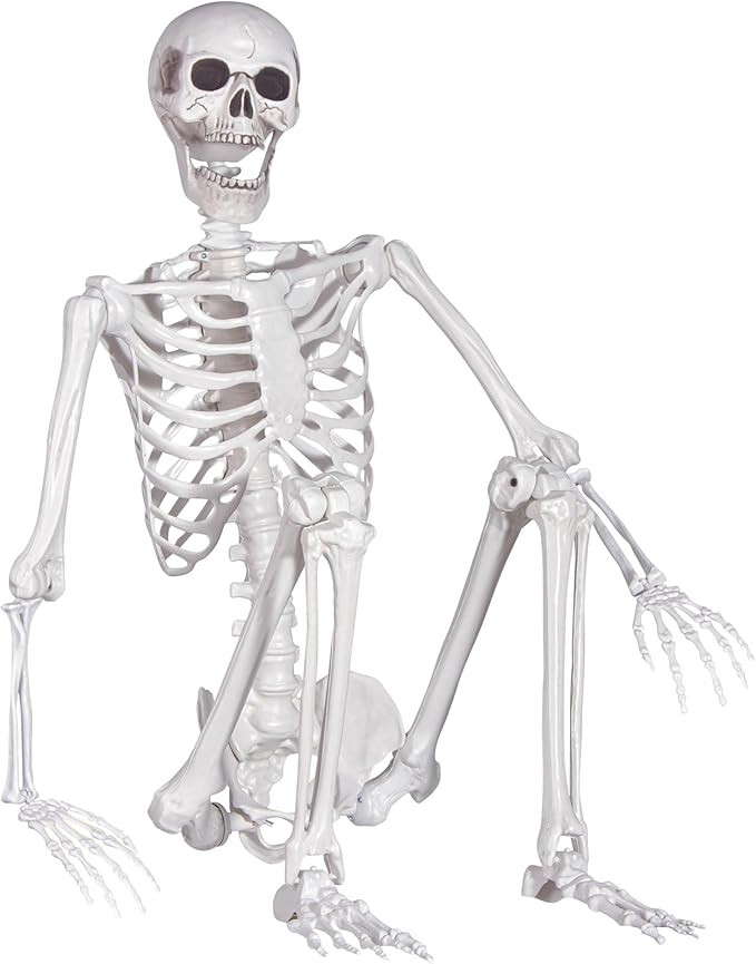 Halloween Skeleton, Realistic Life Size Skeleton with Movable Joints for Halloween Party Haunted ... | Amazon (US)