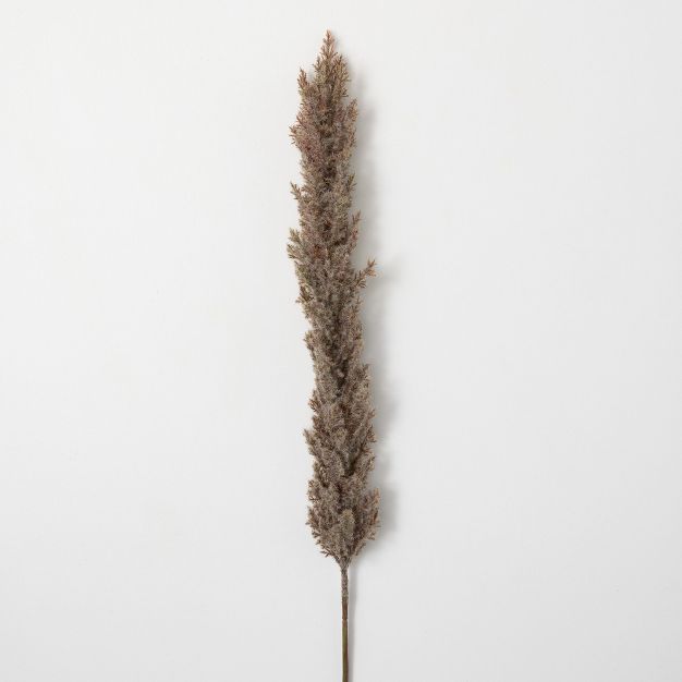 Sullivans Artificial Dried Tall Ecru-Hue Plume 43"H Off-White | Target