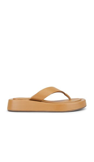 Seychelles Nautical Sandal in Tan. - size 8.5 | Revolve Clothing (Global)